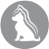 CLUB 4 PAWS PREMIUM PENTRU CĂȚEI DE TALIE MARE ”PUI”. HRANĂ USCATĂ COMPLETĂ