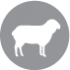 CLUB 4 PAWS PREMIUM "CU CARNE DE IEPURE ÎN SOS". HRANĂ UMEDĂ COMPLETĂ PENTRU CÂINI ADULȚI