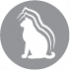 CLUB 4 PAWS PREMIUM PENTRU PISOI "CURCĂ ÎN JELEU". HRANĂ CONSERVATĂ COMPLETĂ