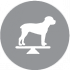 CLUB 4 PAWS PREMIUM LIGHT. HRANĂ COMPLETĂ USCATĂ  "CONTROLUL GREUTĂȚII"  PENTRU C INII ADULȚI DE RASE MICI STERILIZATE SAU PREDISPUSE LA SUPRAPONDERABILITATE . CONȚINUT RIDICAT DE CURCAN